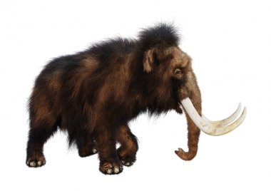 3D render yünlü mamut beyaz