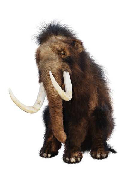 3D Rendering Woolly Mammoth on White