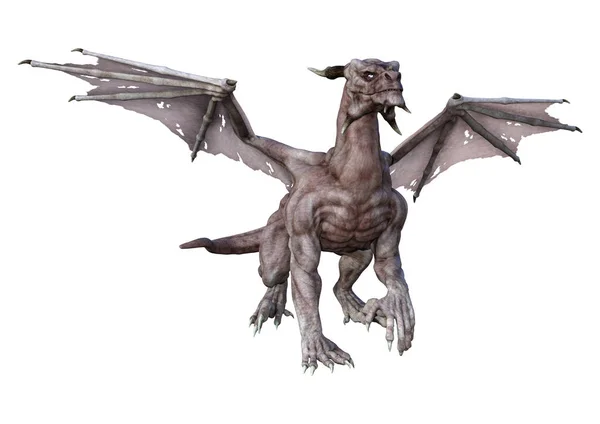 3D rendering Saga Dragon på vit — Stockfoto