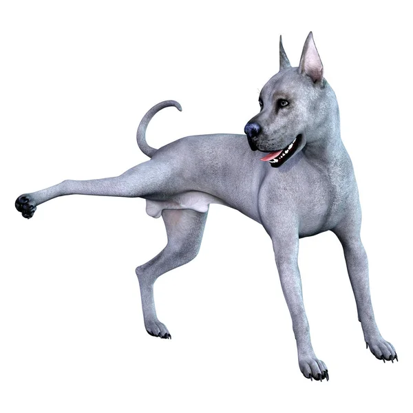 3D рендеринга синій ґрат Dane собака на білому — стокове фото