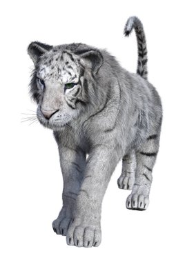 3D beyaz beyaz kaplan oluşturma