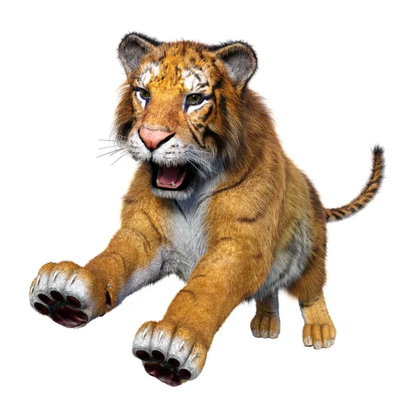 3D Rendering Big Cat Tiger su bianco — Foto Stock
