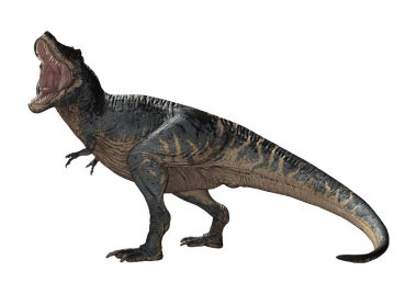 3D render Tyrannosaurus Rex beyaz