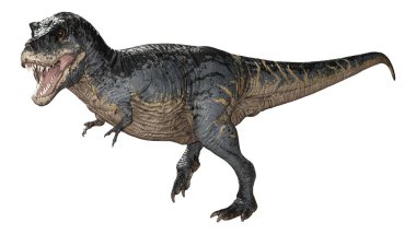 3D render Tyrannosaurus Rex beyaz