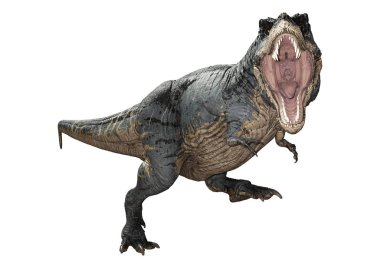 3D render Tyrannosaurus Rex beyaz