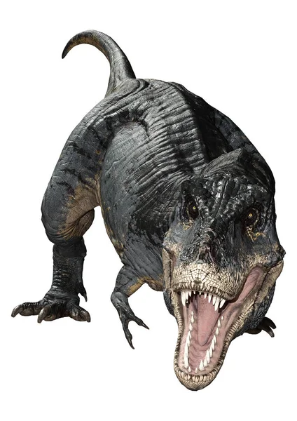 3D rendering Tyrannosaurus Rex på vit — Stockfoto