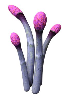 Beyaz üzerine 3D render yabancı bitki