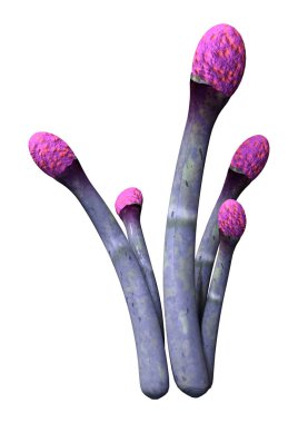 Beyaz üzerine 3D render yabancı bitki