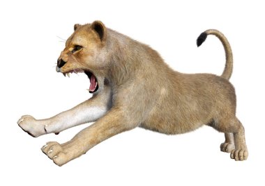 Beyaz üzerine 3D render dişi aslan