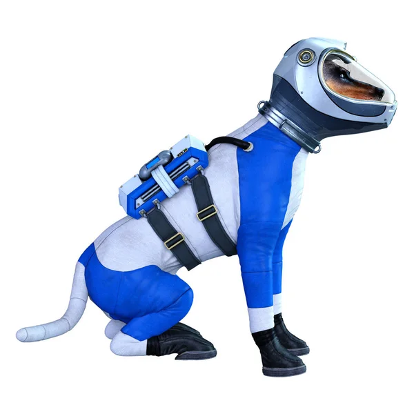 3D-rendering astronaut hund på vit — Stockfoto