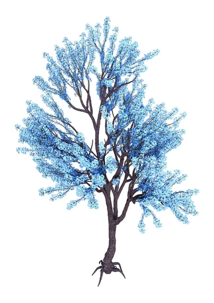 Prostorové vykreslování modrá Kvetoucí strom na bílém — Stock fotografie
