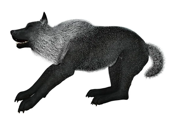 3D rendering Black Wolf op wit — Stockfoto