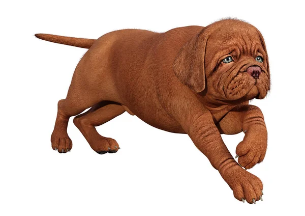 Filhote de cachorro de renderização 3D em branco — Fotografia de Stock