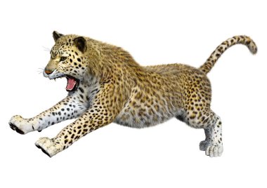 3D render büyük kedi Leopard üzerinde beyaz
