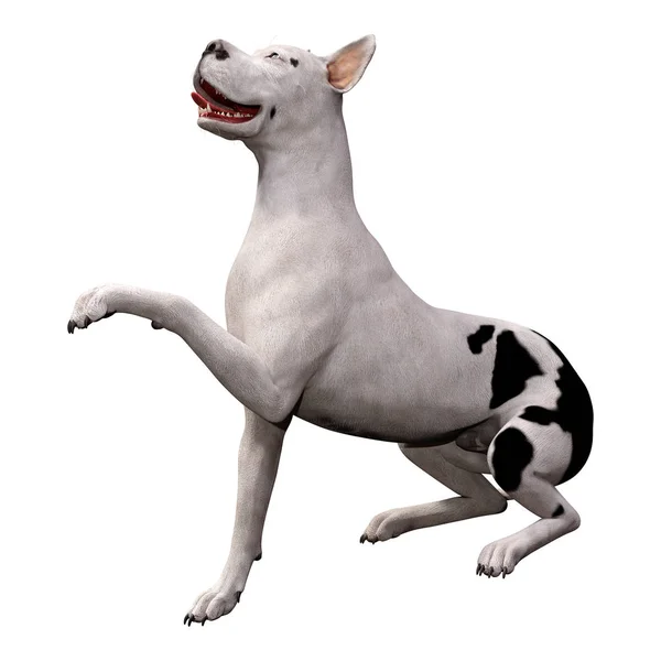 3D απόδοση του Γκραγκ Ντέιν σκύλος στο λευκό — Φωτογραφία Αρχείου
