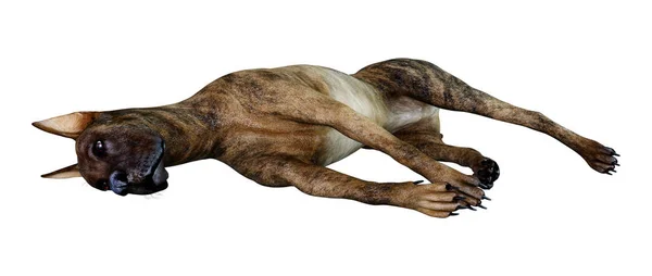 3D vykreslování velký dánský pes na bílém — Stock fotografie
