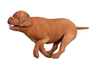 Beyaz üzerinde 3D render Puppy