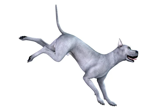 3D renderização azul Grat Dane Dog em branco — Fotografia de Stock