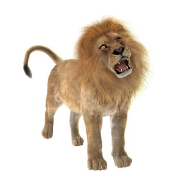 Beyaz üzerine 3D render erkek aslan