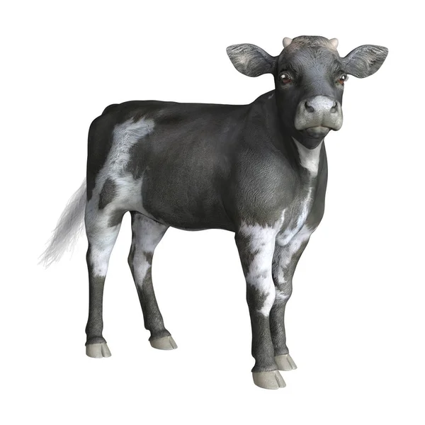 3D Rendering Calf on White — 스톡 사진