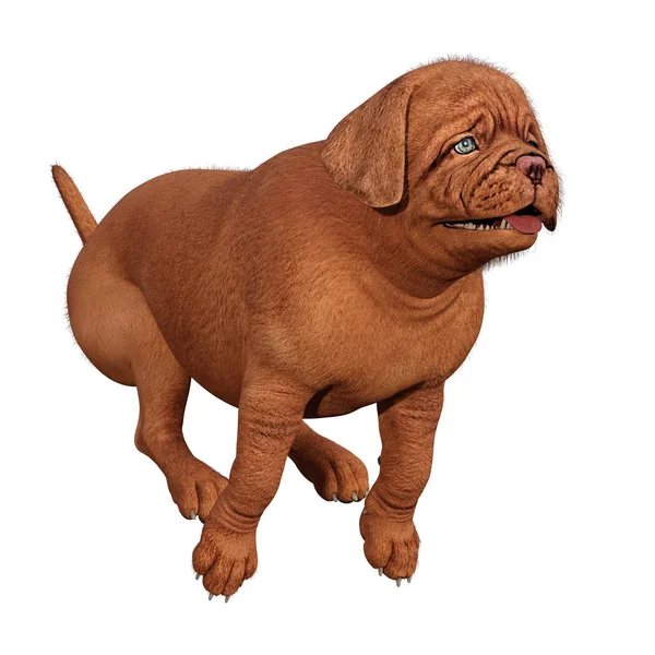 3D rendering puppy op wit — Stockfoto