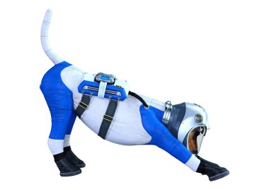 3d Rendering Astronot Köpek Beyaz