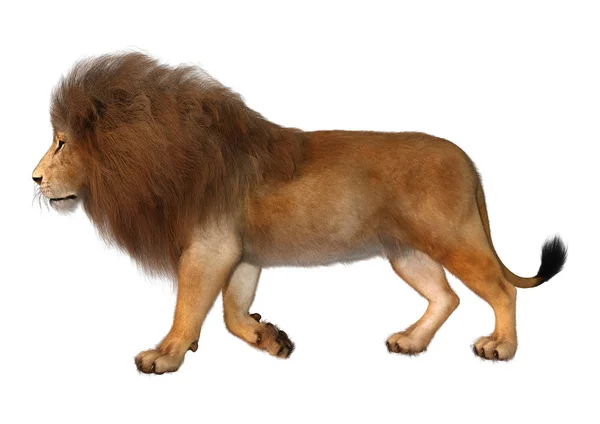 Lion mâle rendu 3D sur blanc — Photo