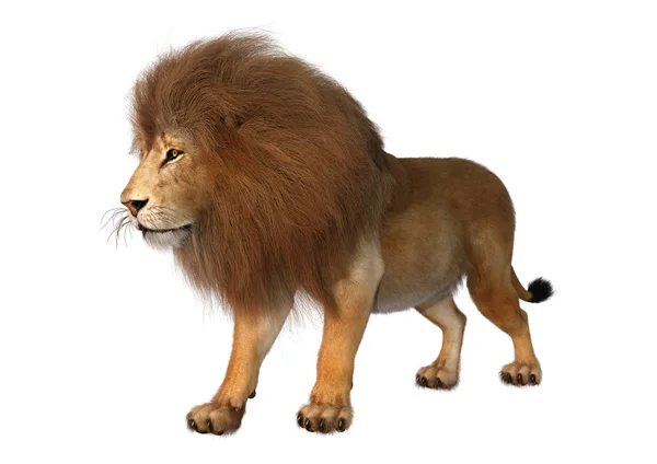 3D Rendering Male Lion on White Stock Photo by ©PhotosVac 305532858