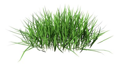 Çimenlerin üzerinde beyaz bir 3D render yama