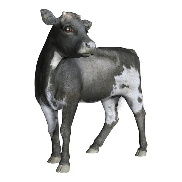 3D Rendering Calf on White — 스톡 사진