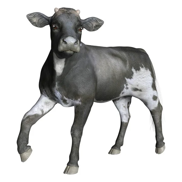 3D Rendering Calf on White — 스톡 사진