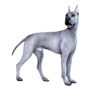 3D Render mavi büyük Dane köpeği beyaz