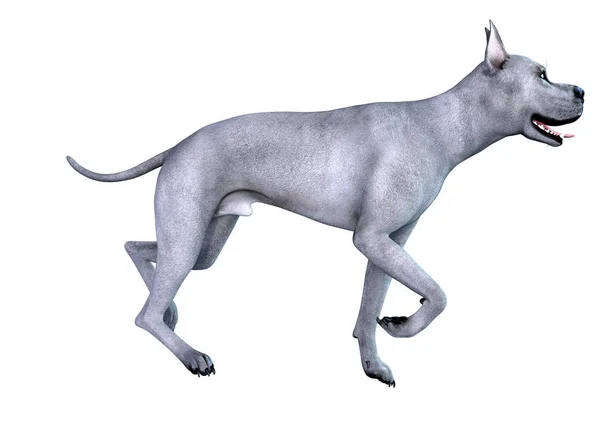 3D Render Blue Grat perro danés en blanco — Foto de Stock