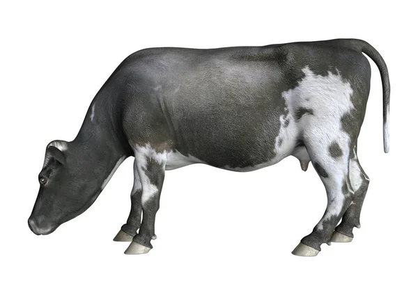 3D rendu vache sur blanc — Photo