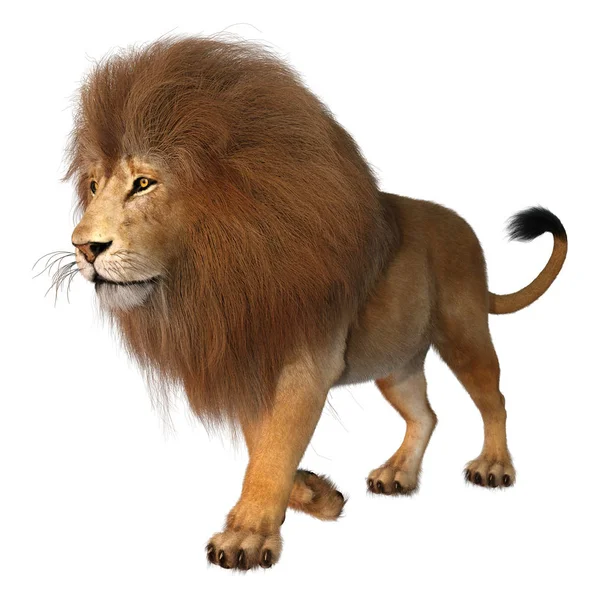 3D rendering manliga lionen på vit — Stockfoto