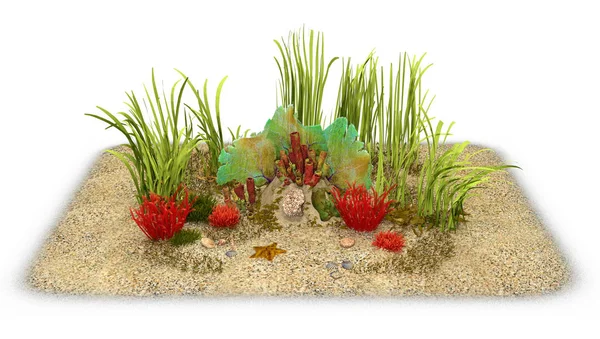 3D Rendering Unterwasserlandschaft auf Weiß — Stockfoto