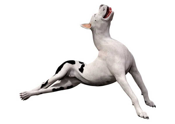 3D rendering grat Dane hond op wit — Stockfoto