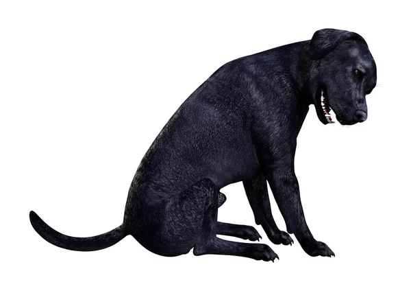 Representación 3D del perro Labrador en blanco — Foto de Stock