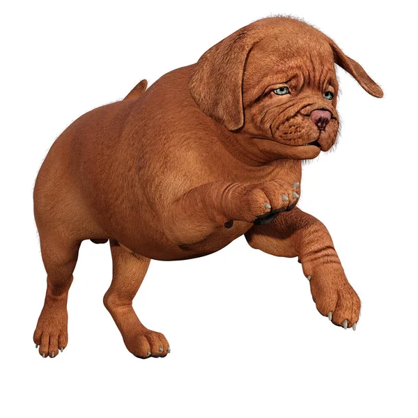 3D rendering puppy op wit — Stockfoto