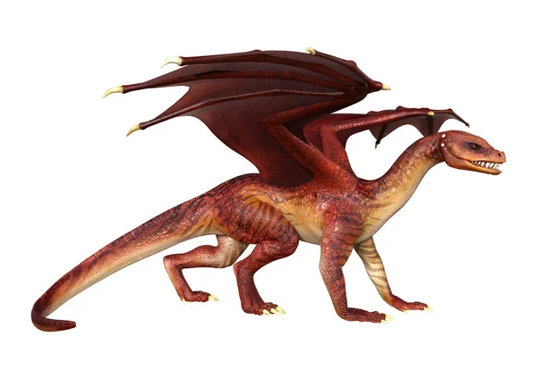 3D Rendering Fairy Tale Dragon on White — Stok Foto