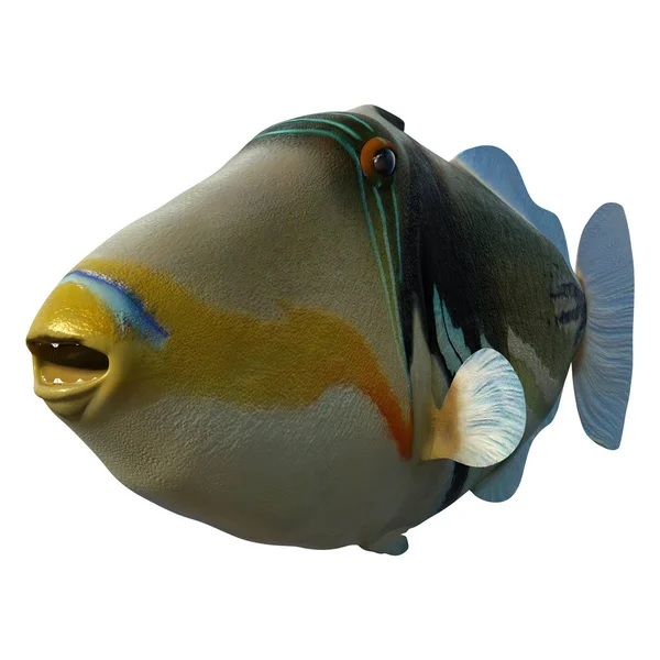 Renderização Peixe Gatilho Lagoa Picasso Rhinecanthus Aculeatus Peixe Gatilho Picassofish — Fotografia de Stock
