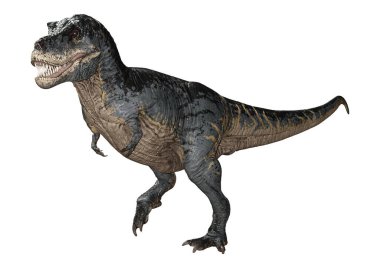 Beyaz zemin üzerinde izole edilmiş bir dinozor Tyrannosaurus Rex 'in 3D görüntüsü