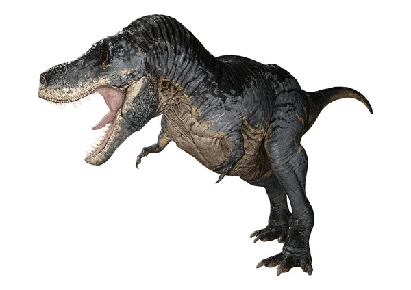 Rendering Dinosauro Tyrannosaurus Rex Isolato Sfondo Bianco — Foto Stock