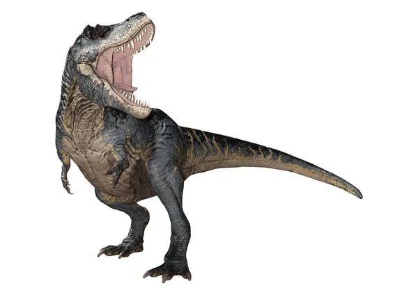Renderelés Egy Dinoszaurusz Tyrannosaurus Rex Izolált Fehér Alapon — Stock Fotó
