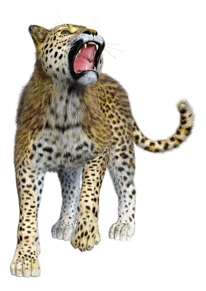 Renderização Grande Leopardo Gato Isolado Fundo Branco — Fotografia de Stock