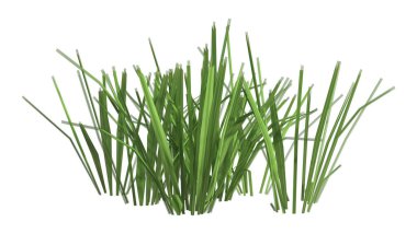 Beyaz arkaplanda izole edilmiş yeşil çimen parçasının 3B görüntülemesi