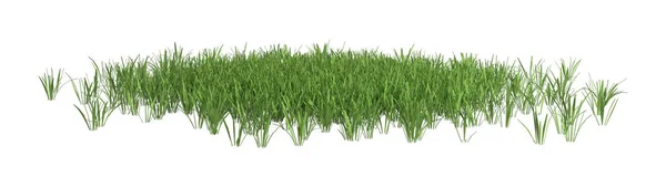 Weergave Van Een Patch Van Groen Gras Geïsoleerd Witte Achtergrond — Stockfoto