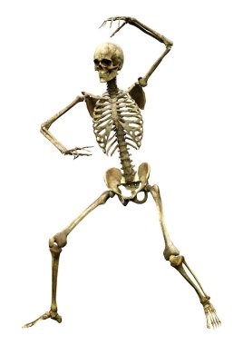 Beyaz arkaplanda izole edilmiş bir insan iskeletinin 3 boyutlu görüntülenmesi