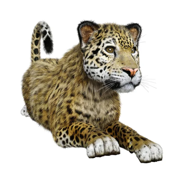 Rendering Big Cat Jaguar Isolated White Background — Stock Photo, Image