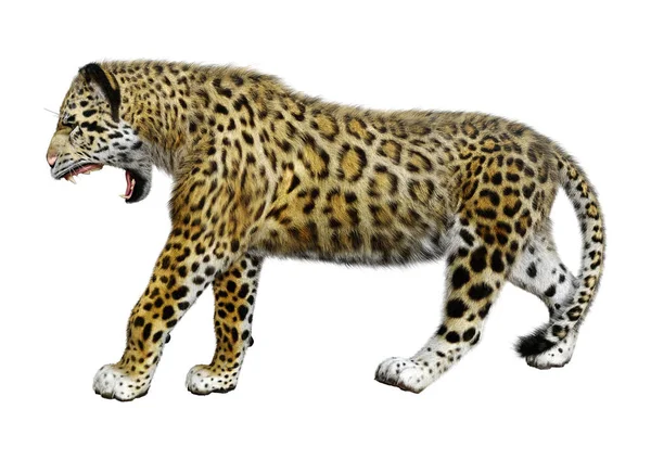 Rendering Big Cat Jaguar Isolated White Background — Stock Photo, Image